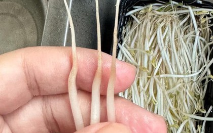 4 loại rau ở chợ thường bị “tắm thuốc” cho đẹp mắt, người bán không dám ăn, nhiều người lại thích mua