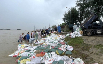 Nghìn người đội mưa 'vá' bờ kè bị sóng đánh tan tác ở Đà Nẵng