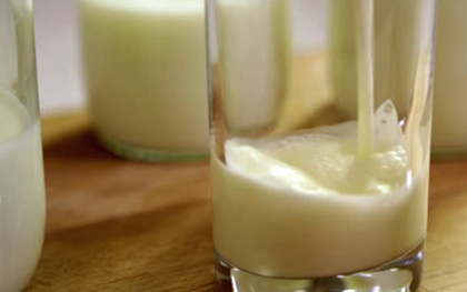 Loại sữa hiếm chỉ chiếm 0.014% tổng sản lượng sữa bò toàn cầu