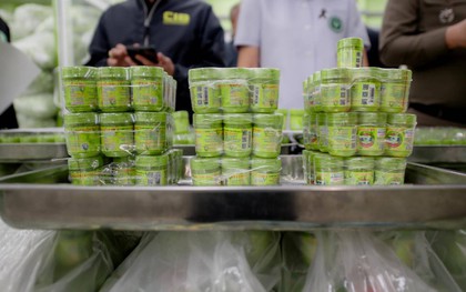 Danh sách 9 loại hít mũi thảo dược Hong Thai sản xuất chui; 2,35 triệu sản phẩm bị thu giữ