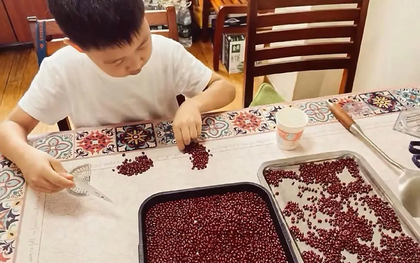 Cô giáo giao bài tập đếm 10.000 hạt đậu, cả nhà thức xuyên đêm giúp con, ai dè sáng hôm sau con bị phê bình trước lớp
