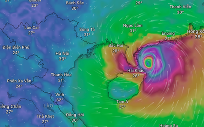 Bão số 11 Matmo áp sát, hàng loạt địa phương vào vùng nguy hiểm