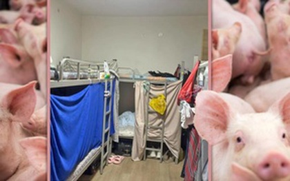 Cảnh sống chen chúc trong căn hộ 'như chuồng heo' ở Singapore gây vỡ mộng