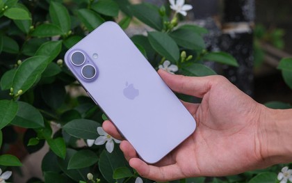 iPhone 17 256GB nên mua không? iPhone 17 có những phiên bản nào?