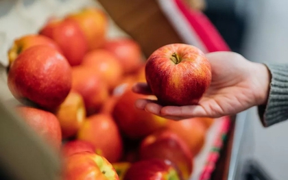 Mẹo bảo quản táo tươi suốt mùa đông của chuyên gia làm vườn