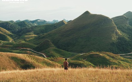 Mùa cỏ cháy phủ vàng đồi Ba Quáng giữa núi rừng Cao Bằng