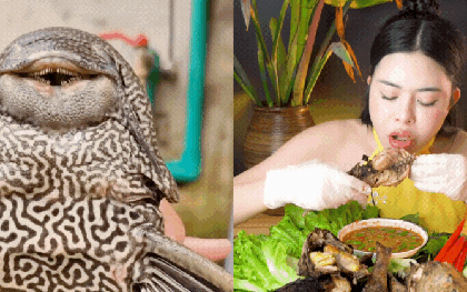 "Thủy quái thời tiền sử" được hội Tiktoker rần rần mukbang gây sốt cộng đồng mạng