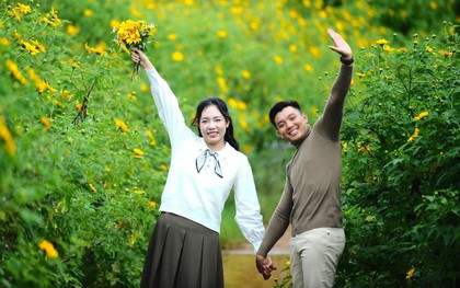 Dã quỳ nhuộm vàng phố núi, Đà Lạt vào mùa đẹp nhất năm