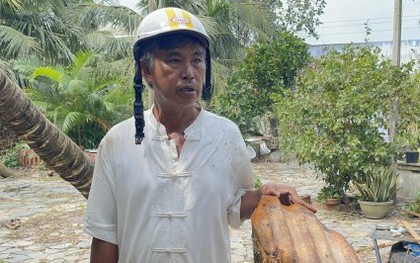 Chủ nhân 'cây dừa bị tôn bay chém đứt thân' trong bão số 13 nói gì?