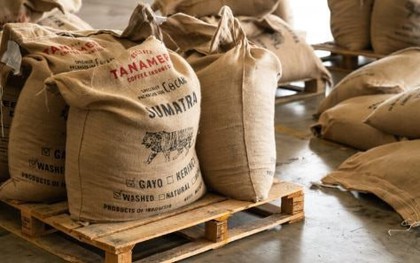 Hàng chục nghìn tấn "sản vật tỷ USD" từ VN ồ ạt sang láng giềng của Mỹ: Nước ta đang Top 2 thế giới