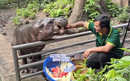 Không ngờ tới những "nhân viên tiêu biểu" đã giúp Thảo Cầm Viên đạt doanh thu trăm tỷ