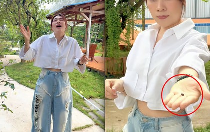 Mỹ Tâm khoe "tài sản khủng", có tiền chưa chắc mua được