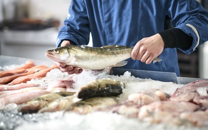 Top 5 loại cá "ngậm" nhiều thủy ngân nhất: Thích đến mấy cũng phải cẩn trọng