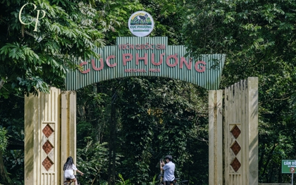 Phát hiện bộ xương 7.500 tuổi trong rừng Cúc Phương, chuyên gia hé lộ bí ẩn về người Việt