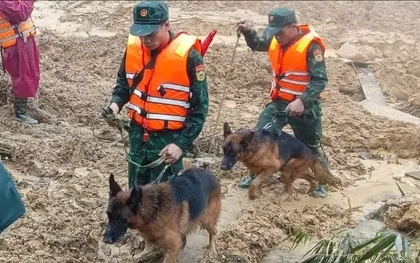 Đưa cảnh khuyển tìm kiếm người mất tích trong vụ sạt lở kinh hoàng ở Đà Nẵng