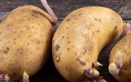 Sai lầm ai cũng mắc: Không phải thức ăn thừa mà 5 loại thực phẩm này mới là "kẻ giết người thầm lặng" trong bếp!