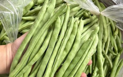 Thứ rau quả chính vụ mùa đông, ăn là "nghiền", thúc đẩy xương chắc khỏe, tăng cường chức năng miễn dịch