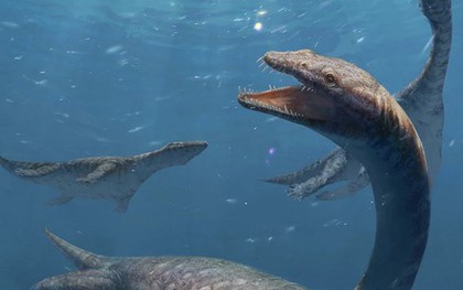 Trung Quốc: Quái vật cổ dài 42 đốt xuất hiện gần Lệ Giang cổ trấn