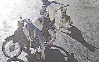 Nhóm trộm chó manh động, dùng vỏ chai thủy tinh và ớt bột chống trả người truy bắt