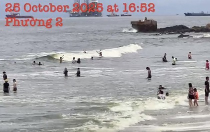 Vụ nước biển Vũng Tàu có màu xanh lá: Công bố nguyên nhân chính thức