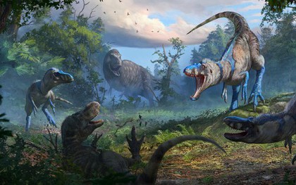 Loài quái vật chưa từng biết lộ mặt ở "Suối Địa Ngục"