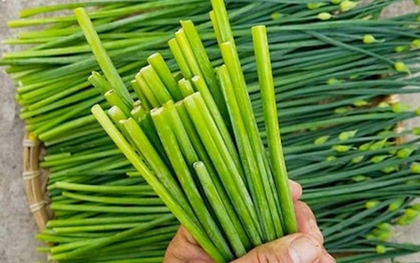 Ăn 1 nắm rau này như "nhân sâm của người nghèo", ở quê có đầy bỏ qua quá phí