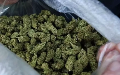 "Cô tiên thơm" ổ nhóm bán cần sa qua mạng lớn nhất từ trước tới nay bị bóc gỡ