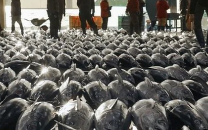 Một loại ‘siêu thực phẩm’ của Việt Nam đang được Nga cực kỳ ưa chuộng: Ưu đãi thuế nhập khẩu 0%, hơn 75 thị trường đang là khách ruột