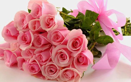 Những loài hoa ý nghĩa tặng thầy cô ngày Nhà giáo Việt Nam 20/11