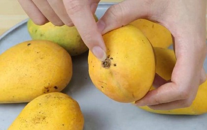 4 dấu hiệu nhận biết xoài chín ngọt tự nhiên, thịt dày, hạt lép