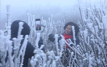 Miền Bắc đã xuất hiện băng giá sớm: Không phải ở Fansipan, đây cũng là điểm du lịch nổi tiếng Việt Nam