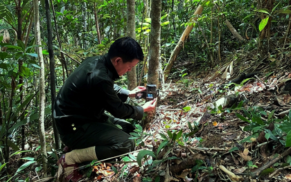 Nghe tiếng động lạ, người dân Thanh Hóa phát hiện loài vật quý hiếm sắp tuyệt chủng: Tưởng vô hại nhưng cực nguy hiểm, quyết định báo cảnh sát ngay