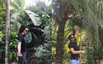 Tình thế đáng lo của nam tài tử Việt vỡ nợ 20 tỷ đồng