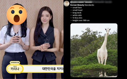 Tiêu chuẩn sắc đẹp "dị dạng" của dân Hàn chỉ một idol đáp ứng được