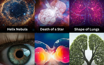 Có người nói vũ trụ chỉ là một tế bào sinh học, khoa học nói gì về giả thuyết gây sốc này?