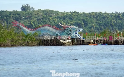 Du khách thích thú trải nghiệm rừng ngập mặn ở Đồ Sơn