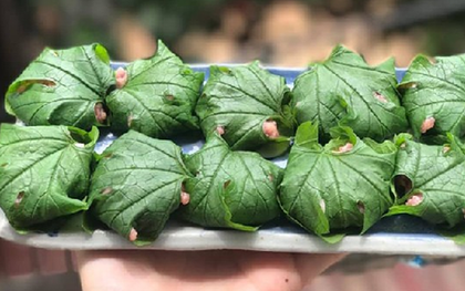 Đừng chỉ ăn quả, lá loại cây này quý như "nhân sâm người nghèo", ở quê mọc đầy bờ rào