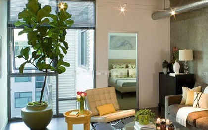 Món đồ cực vượng phong thủy, xin chúc mừng gia đình nào sở hữu