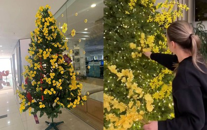 Tha cho cây thông Noel đi, Tết còn tận 3 tháng nữa mới đến