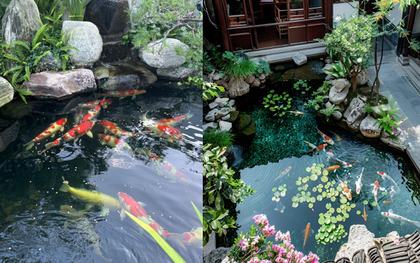 Trước nhà có ao phong thủy tốt hay xấu? Đọc xong bớt lo lấp ao vội