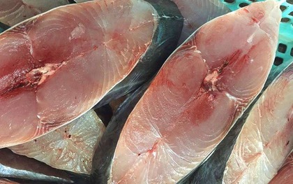 5 loại cá thịt dày, ít xương, bổ như tổ yến: Ra chợ thấy thì nhắm mắt MUA NGAY