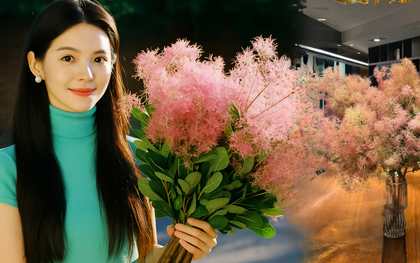 "Lạc lối" trước bình hoa khói tím: Loài cây nhìn như mây bông đang gây sốt góc nhà chị em