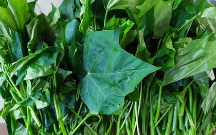 Loại rau "ngọt như mì chính", bổ ngang nhân sâm tổ yến, tốt cho người ốm