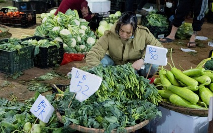 Sự thật giá rau "đắt hơn thịt" ở Hà Nội
