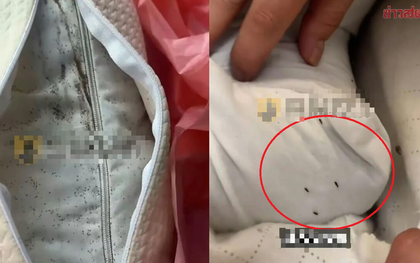 Bỏ 900.000 đồng mua gối, cô gái sốc nặng khi mở ra thấy thứ “rùng mình” bên trong