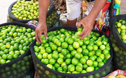 Loại quả bán đầy ở chợ Việt Nam giá cực rẻ - Sang trời Tây bỗng thành hàng hot, được các 'đại gia dầu mỏ' tranh mua như đặc sản