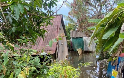 Đồng Tháp: Đau lòng 2 mẹ con chết trong căn nhà ngập nước, nghi bị điện giật