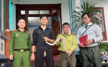 Nam thanh niên "đứng hình" khi bắt gặp con vật lạ bò qua đường