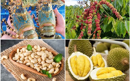 Điểm danh loạt hàng Việt Nam đạt kỷ lục xuất khẩu, nức tiếng thế giới