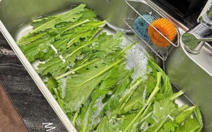 Bức ảnh khiến cả vạn người khẩu chiến